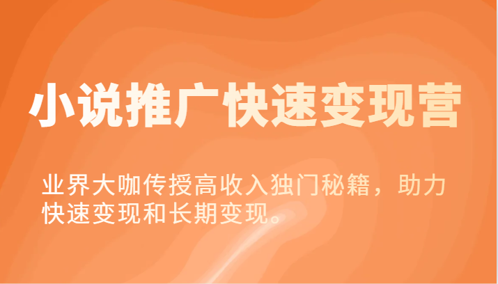 小说集营销推广收益最大化营-业内大佬教给高工资独门秘籍，助推收益最大化或长期转现。-优知识