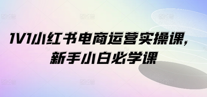 1V1小红书的电商运营实操课，新手入门必会课-优知识