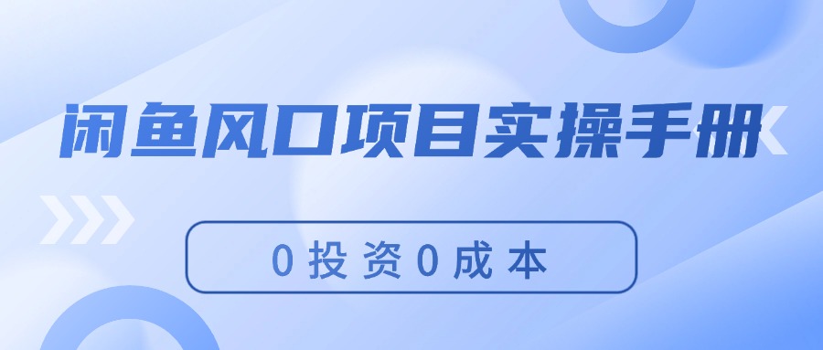 闲鱼平台蓝海项目实际操作指南，0投入0成本费，使你保证，月入了万，初学者能做-优知识