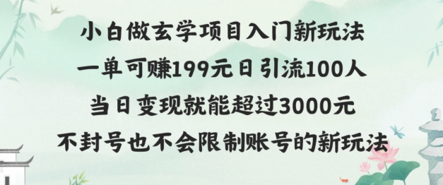 玄学项目入小白入门新玩法一单可赚199元日变现200+不封号不违规-优知识