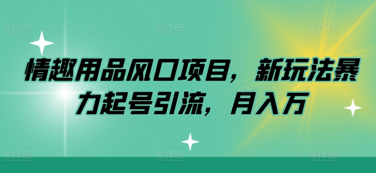 情趣用具蓝海项目，新模式暴力行为养号引流方法，月入万-优知识