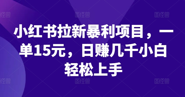 小红书的引流赚钱项目，一单15元，日赚好几千新手快速上手【揭密】-优知识