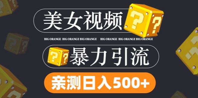 搬运tk美女视频全网分发，日引s粉300+，轻松变现，不限流量不封号【揭秘】-优知识