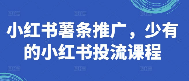 小红书的炸薯条营销推广，难得少有的小红书投流课程内容-优知识