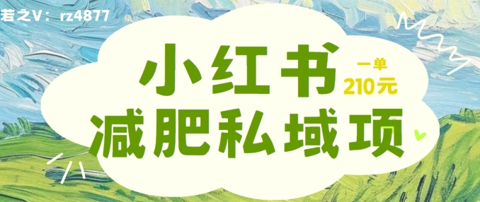 小红书减肥粉，私域变现项目，一单就达210元，小白也能轻松上手【揭秘】-优知识