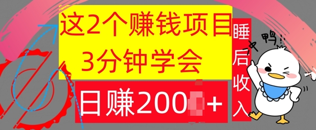 这2个项目，3分钟学会，日赚几张，懒人捡钱-优知识