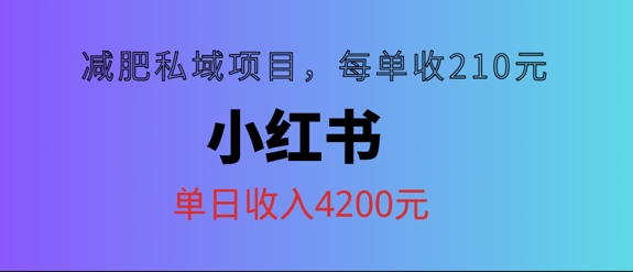 小红书减肥私域项目，每单210元，单日可卖出15单，利润3150-优知识