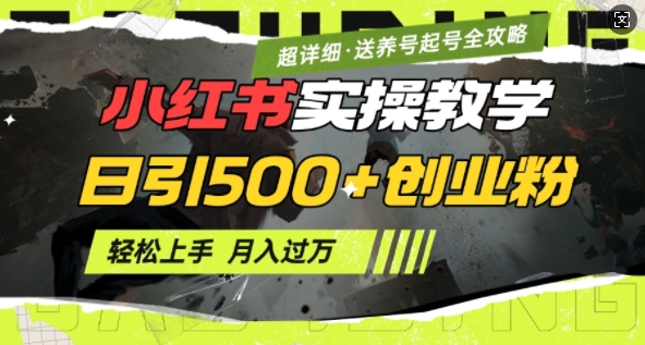 2月小红书最新日引500+创业粉实操教学【超详细】小白轻松上手，月入1W+，附小红书养号起号SOP-优知识