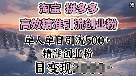 淘宝拼多多高效率精准引流方法自主创业粉，单人单日引流方法500 自主创业粉，日转现好几张-优知识