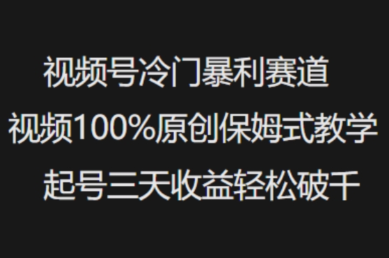 微信视频号小众爆利跑道短视频100%原创设计跟踪服务课堂教学养号三天盈利轻轻松松破千-优知识