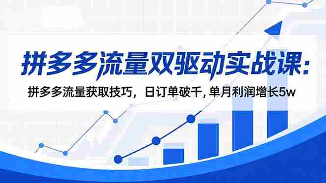 拼多多流量双驱动实战课:拼多多流量获取技巧,日订单破千,单月利润增长5w-知简网创