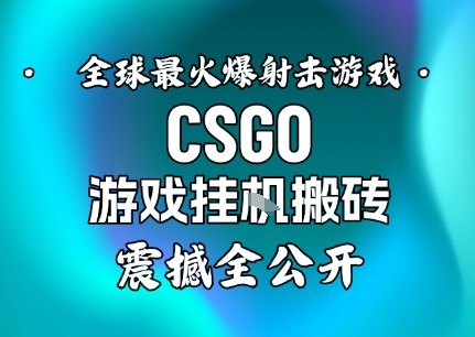 【年底大揭秘】基于全球最火爆的射击CSGO游戏挂G搬砖，日入5张+，震撼公开-知简网创