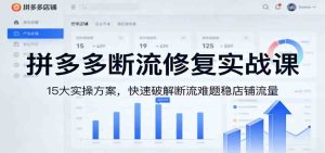 拼多多断流修复实战课：15大实操方案，快速破解断流难题稳店铺流量-云创联盟