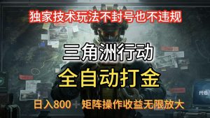 三角洲全自动挂机,独家技术,稳定不封号,日入800+,-云创联盟